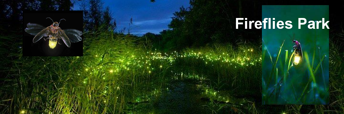 Fireflies Park